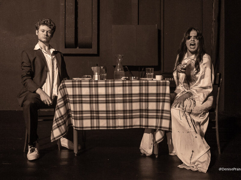 Salmoni civiche fest scena B